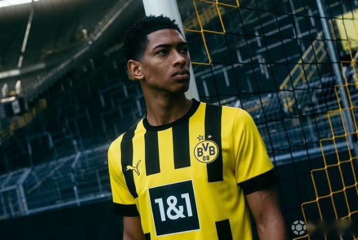 案例观察 案例观察